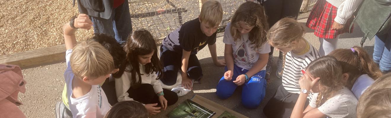 Défi à résoudre pour trouver un détail remarquable de la cour