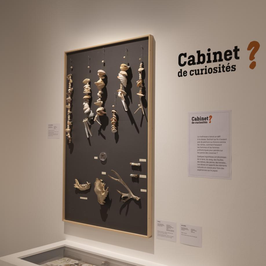 Cabinet de curiosité scénographié à partir des créations et expérimentations des élèves de l'école Bernard Adour